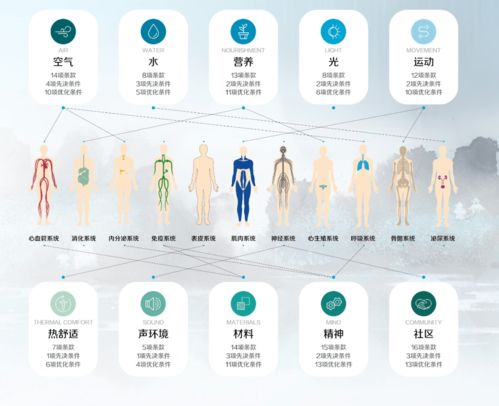 河南省2020年度产品力入围品质项目展示（三） 旅游开发项目策划咨询